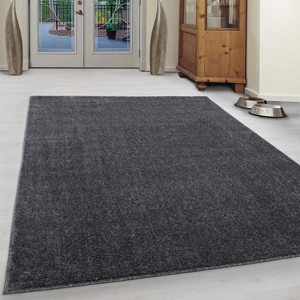 Teppich Grau – Kurzflor, Filz Rücken, Verschiedene Größen 7000- Product vendor