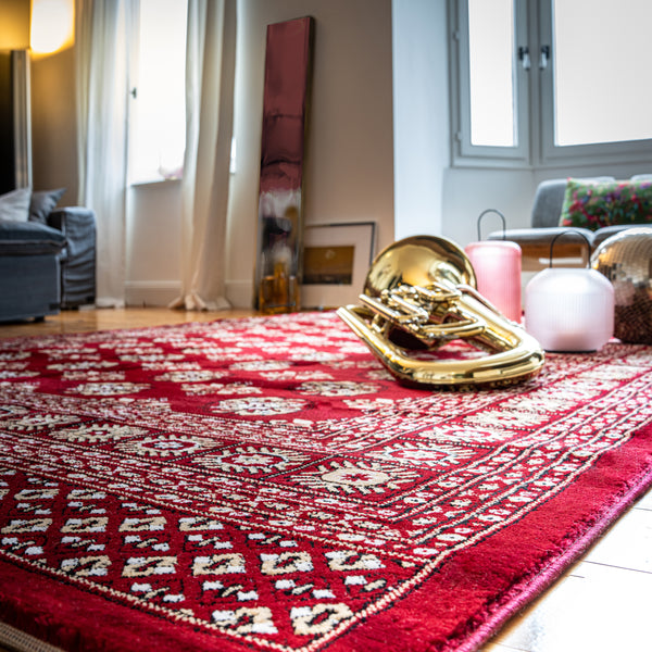 Mon tapis Ariana - Une élégance intemporelle pour votre maison 880*