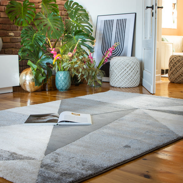 Mon tapis gris Canyon avec effet 3D et fine brillance ? découvrez l'élégance moderne 974*