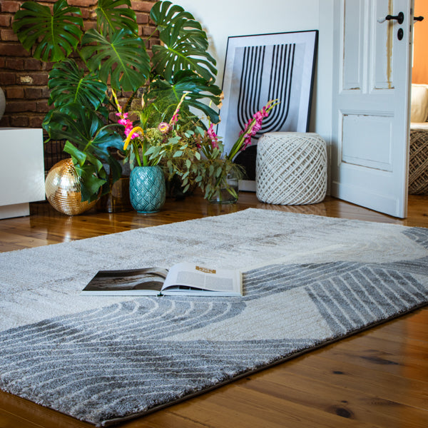 Tapis My Canyon Taupe – Effet 3D pour une vie moderne 975*