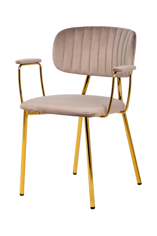 Design trifft Komfort: Jeder Stuhl des Sets besticht durch filigrane Beine und samtweichen Bezug.