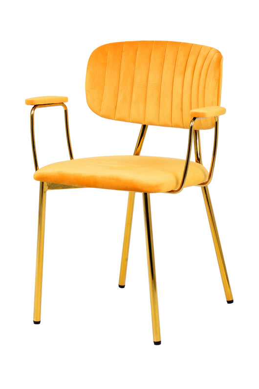 Zeitloses Design und erstklassige Verarbeitung: Ihr neuer Stuhl Esszimmer wartet.