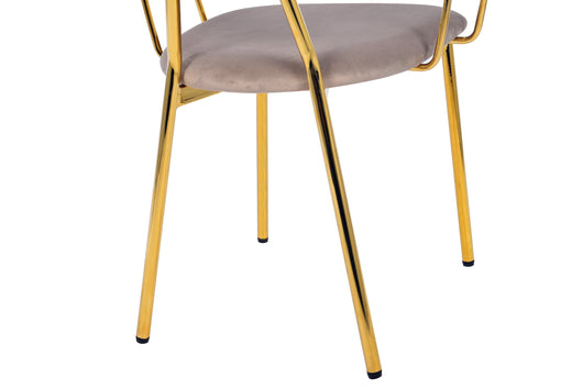 Ihr neuer Lieblings-Stuhl: Ergonomie und Ästhetik vereint in einem zeitlosen Design.