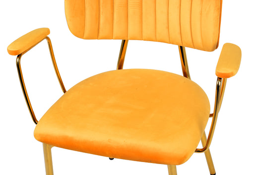 Hochwertiger Stuhl Esszimmer mit elegantem Edelstahl-Gestell – ein Blickfang für jeden Raum.